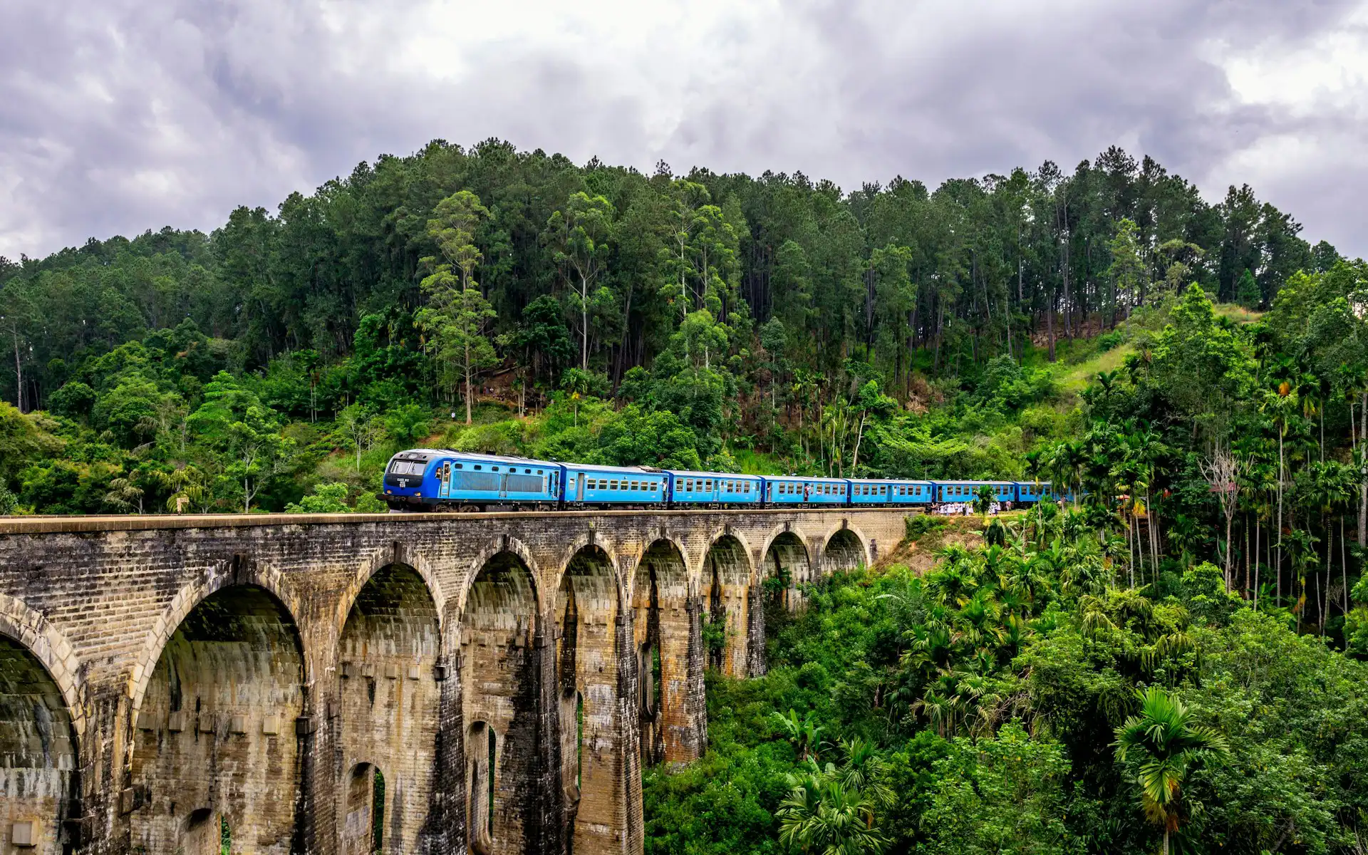 Ella Train Journey booked through our Sri Lanka travel agency