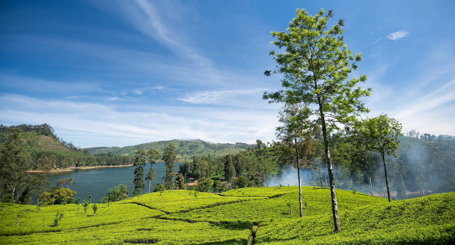 Nuwara Eliya tea fields, famous national sightseeing locations Sri Lanka