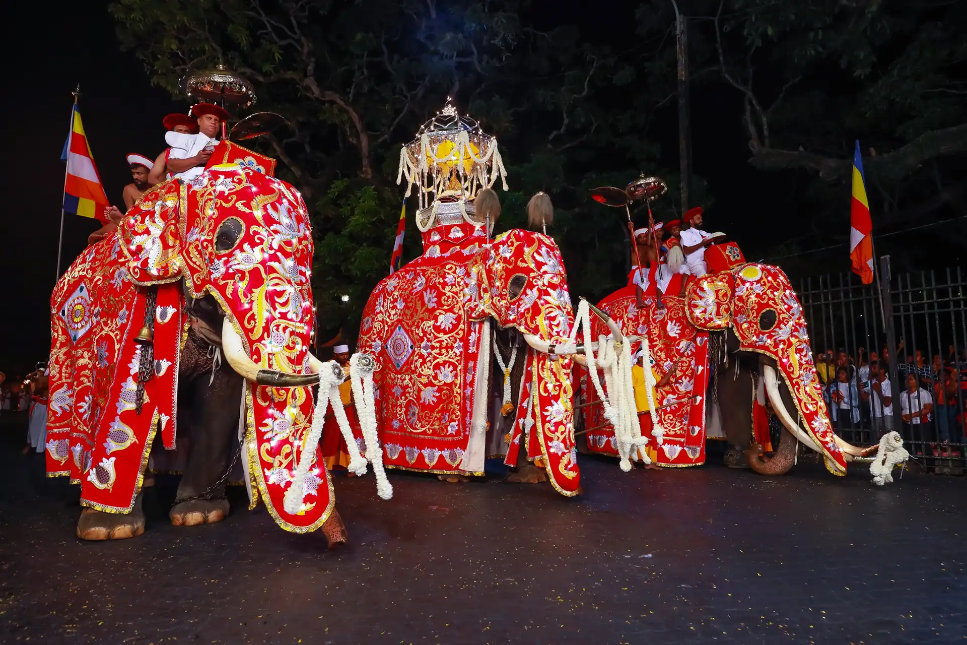 A grand procession of decorated tuskers draped in vibrant garments, experienced on our exclusive Esala Perahera holiday package Sri Lanka