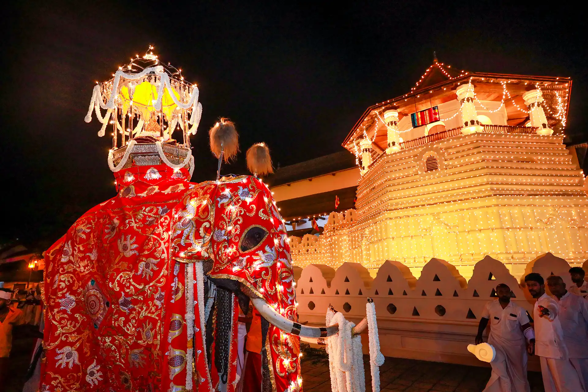 Kandy Esala Perahera 2026 complete guide featuring the majestic illuminated elephant procession